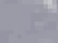 statistik för belmicos - Belmico's kennel