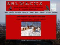 statistik för belwactskennel - Välkommen till Belwact's kennel statistik för belwactskennel - Välkommen till Belwact's kennel