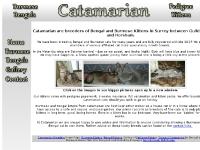 bengal-burmese-kitten-breeder.co.uk