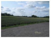 Bergshammar Bergshammar