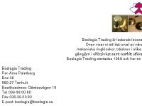 statistik för beslagia - Beslagia Trading under construction!