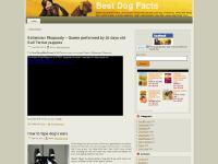 Best Dog Facts Best Dog Facts