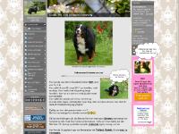 FORSIDA VÅR. - www.bestegnisten.org FORSIDA VÅR. - www.bestegnisten.org