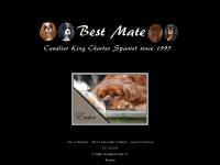 statistikker for bestmate - Cavaliers By Best Mate statistikker for bestmate - Cavaliers By Best Mate