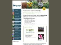 Best Plants :: Landscape Gardening Plants by Ozbreed