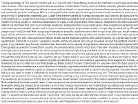 Everest College | Bethel School | Cash Advance | Debt Consolidation | Insurance at Bethelacademy.org