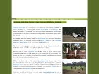 bethesdadrumhorses.com.au bethesdadrumhorses.com.au