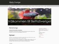 Bettasverige - Sveriges största sida om kampfiskar Bettasverige - Sveriges största sida om kampfiskar