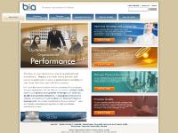 About Business Improvement Architects