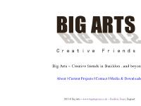 Big Arts Group - Basildon, Essex Big Arts Group - Basildon, Essex