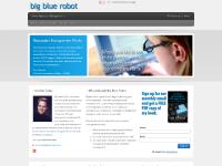 bigbluerobot.com online reputation management, search engine optimization