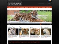 Big Cat Habitat and Gulf Coast Sanctuary in Sarasota, Florida | A Safe Place for Animals