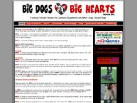 Big Dogs Big Hearts Rescue Buffalo NY Rochester NY Big Dogs Big Hearts Rescue Buffalo NY Rochester NY