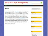 bigfatcat.net st. louis, marketing, public relations