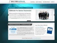 Professional AdWords Management | Service Business Specialists | Google Certified