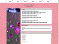 Big Fluffy Bunnys Web Design Preston Lancashire