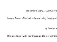 Welcome to BigFly!