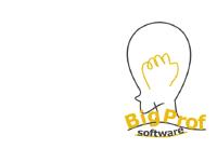 bigprof.com bigprof.com