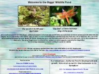 bigsnestpond.net