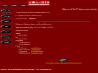 liten bilcity.se skärmbild