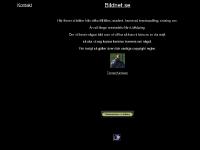 Bildnet Bildnet