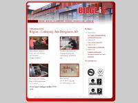 bilglas.se Om oss, Bilglas, Montering av bilglas