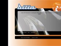 liten biliaopen.se skärmbild