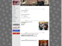  Chihuahua, Kull A-B-C-, Valp fra oss, Valper