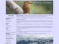 buy birding binoculars