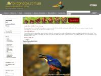 birdphotos.com.au - birdphotos