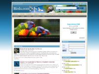 birds.com - birds