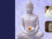 Bienvenue sur le site des Sacrés de Birmanie de la Tour d'Argent