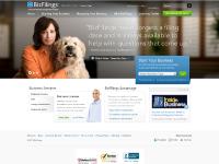 bizfilings.com LLC, incorporate online, incorporation