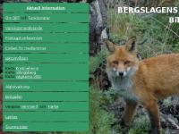 bjff.se Planlagd verksamhet, Villingsberg, Älgjakt bjff.se Planlagd verksamhet, Villingsberg, Älgjakt