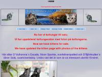 liten bjorkkullens.se skärmbild liten bjorkkullens.se skärmbild