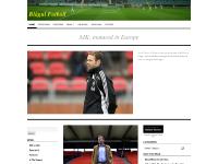 Blågul Fotboll | Swedish Football Blågul Fotboll | Swedish Football