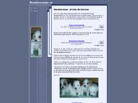 Blandrasvalpar - att hitta rätt blandras Blandrasvalpar - att hitta rätt blandras