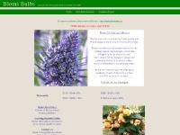 Bloms Bulbs Bloms Bulbs