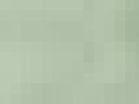 :: Blomsterateljén ::