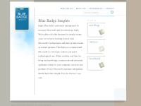 Blue Badge Insights