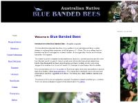 bluebandedbees.com bee, bees, bee images bluebandedbees.com bee, bees, bee images