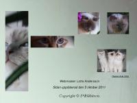 om blueberrybirman.se - blueberrybirman om blueberrybirman.se - blueberrybirman