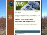 Självplock av amerikanska jätteblåbär | Blåbärsgården Självplock av amerikanska jätteblåbär | Blåbärsgården