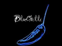 bluechilli.co.uk