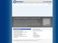 Blue Chip Tek — Whatever IT Takes Blue Chip Tek — Whatever IT Takes