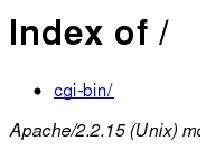 Index of / Index of /