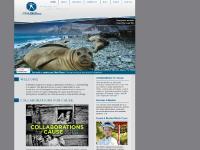 photography store, Featured Projects, Mission, Board photography store, Featured Projects, Mission, Board