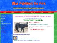 bluefeathersonfire.co.uk humour, surreal, comedy