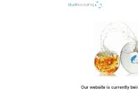 bluefin-consulting - Bluefin Consulting