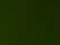 Blue Iris Learning Center